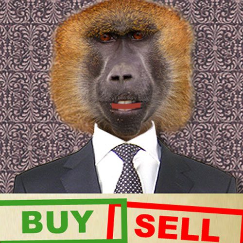 Mr. Monkey - Fund Advisor