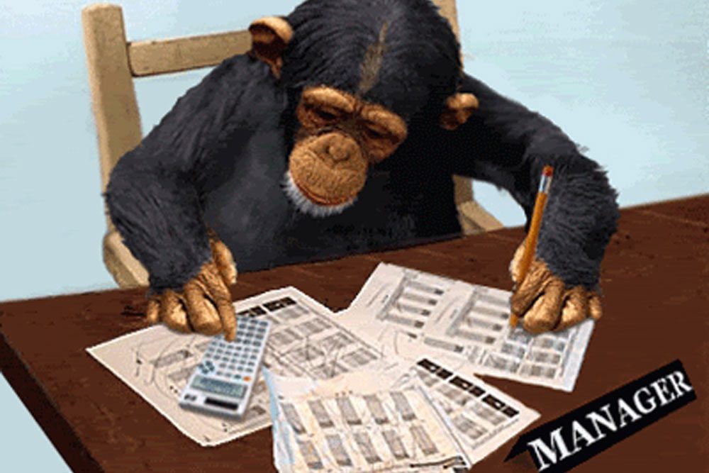 Mr. Monkey Fund Manager